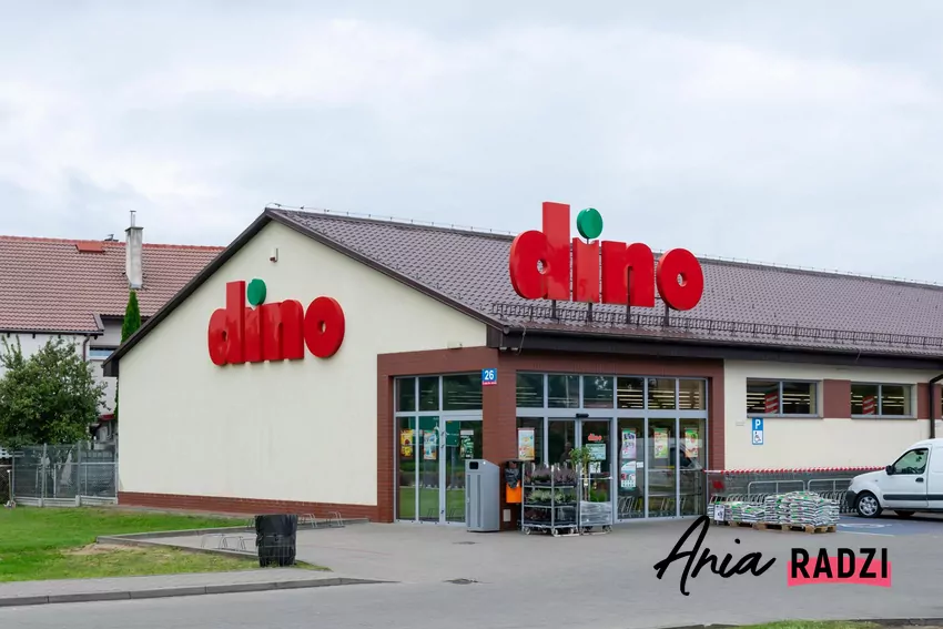 Duże promocje w Dino - gazetka ważna tylko do 25.11 Dino