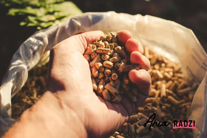 Początek sezonu grzewczego wiąże się z okresowymi podwyżkami cen pelletu pellet workowany, pellet w dłoni