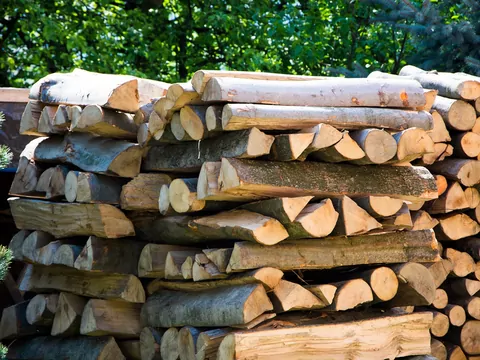 Ile drewna na tonę węgla?