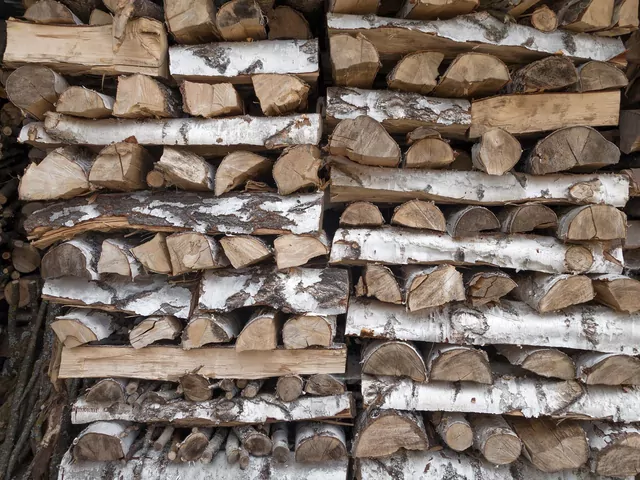 Najlepsze rodzaje drewna kominkowego