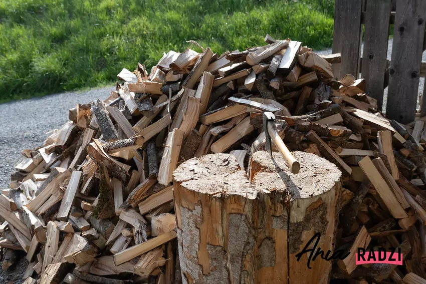 Drewno jest ekologicznym i ekonomicznym źródłem ciepła W kominku można spalać różne rodzaje drewna pod warunkiem, że jest suche