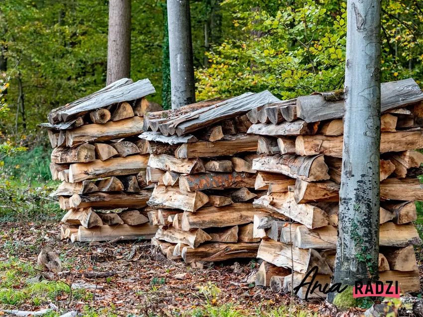 Drewno jest ekonomicznym i efektywnym paliwem opałowym Na opał przeznacza się drewno, które nie odpowiada warunkom technicznym drewna użytkowego