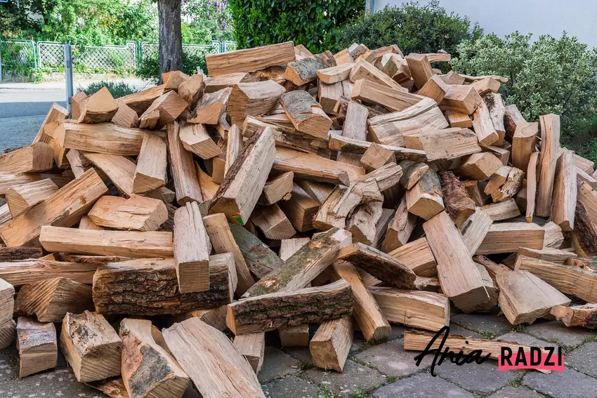 Drewno na opał