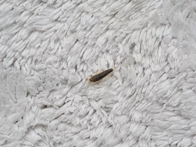 Domowy sposób narybiki