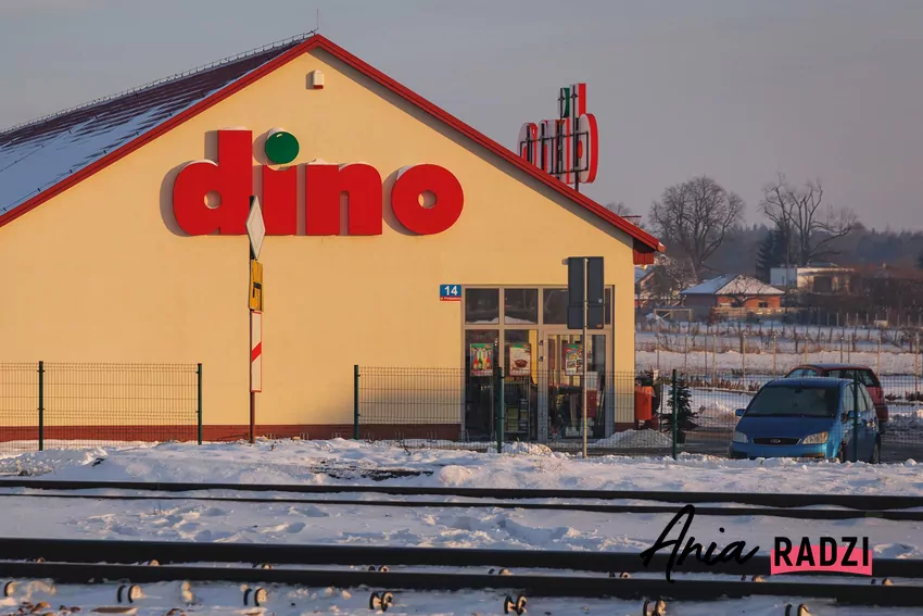 Do 9 grudnia promocje na różne artykuły spożywcze w Dino Dino