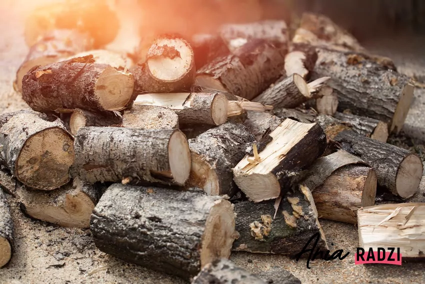 rozrzucone drewno opałowe