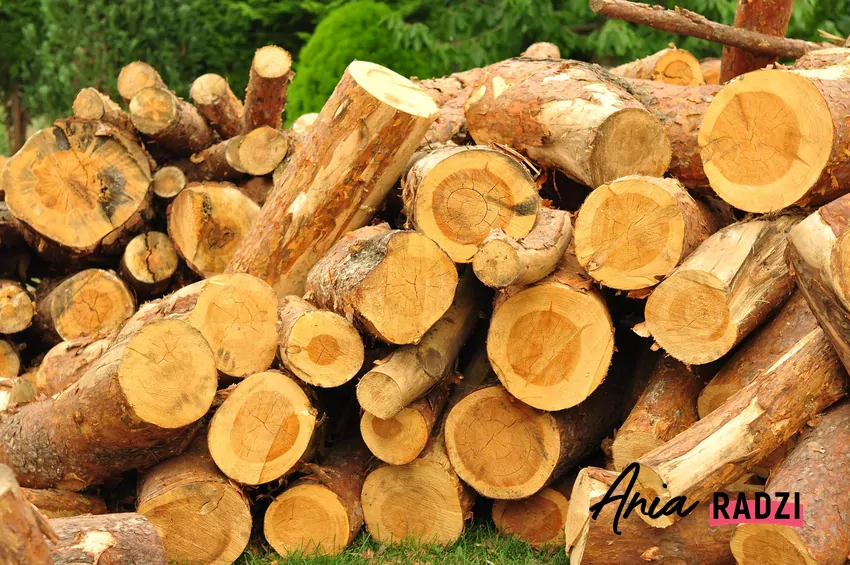 stos drewna opałowego