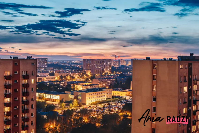 Żywotność wielkiej płyty oceniano na około 50 lat, co dziś okazuje się dużym niedoszacowaniem Wielka płyta w Poznaniu