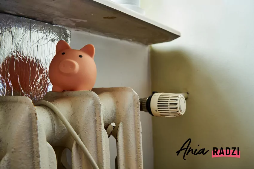 Istotny jest też rodzaj samego kaloryfera: ekran będzie najbardziej efektywny przy grzejnikach żeliwnych Ekran zagrzejnikowy i skarbona na grzejniku