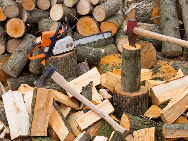 Narzędzia do drewna do kominka