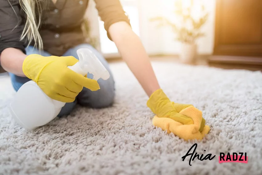 Jeżeli plama jest stara, warto wcześniej delikatnie zwilżyć miejsce letnią wodą Kobieta szoruje dywan