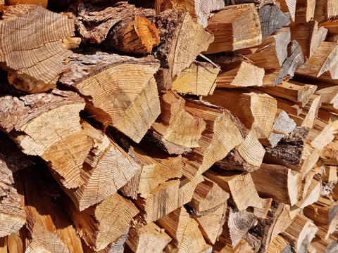 Ceny drewna kominkowego 2025/2026