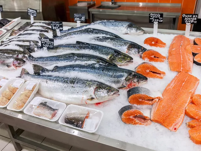 Rozpoznawanie świeżej ryby