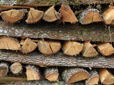 Drewno dobre dla komina