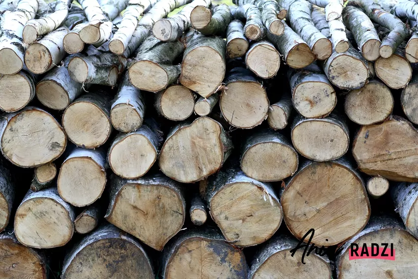 Drewno brzozowe po odpowiednim przygotowaniu doskonale nadaje się do kominka
