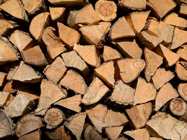 Które drewno opałowe daje najwięcej ciepła?