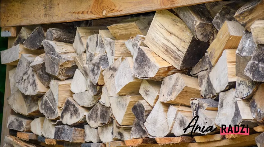 Grab – drewno o wysokiej kaloryczności, pali się długo i równomiernie, idealne do kominków. Drewno na opał