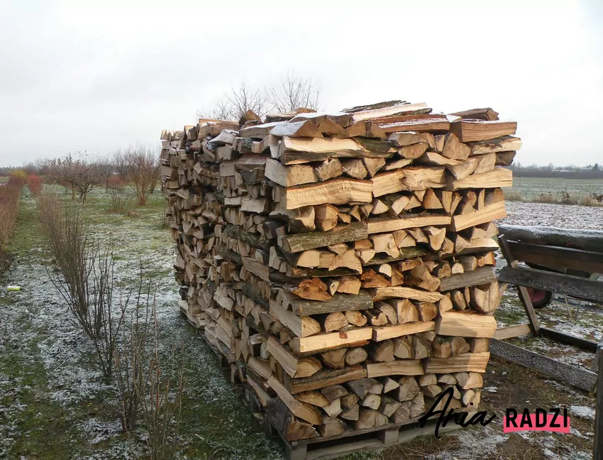 Porównanie drewna opałowego – grab, buk i akacja różnią się wartością energetyczną i czasem spalania. drewno opałowe