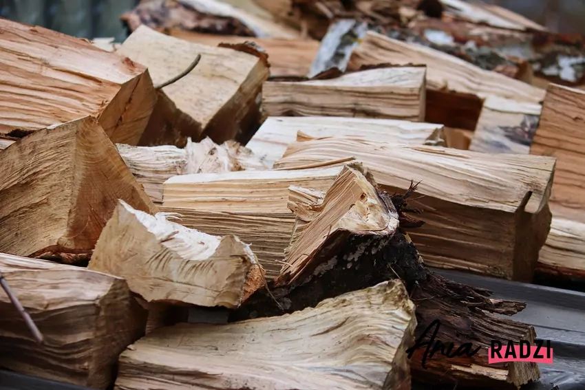 https://chatgpt.com/c/68c696df-854c-8325-9fa3-b702c28a3421#:~:text=z%20tre%C5%9Bci%C4%85%20artyku%C5%82u%3A-,Drewno%20przygotowane%20do%20sezonowania%20%E2%80%93%20klucz%20do%20efektywnego%20spalania,-%2C%20fot.%20Manfred%20Richter Drewno przygotowane do sezonowania