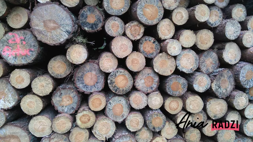 Stos drewna opałowego gotowy do transportu – ważne, by zmierzyć go kilkakrotnie. Puste przestrzenie między wałkami drewna