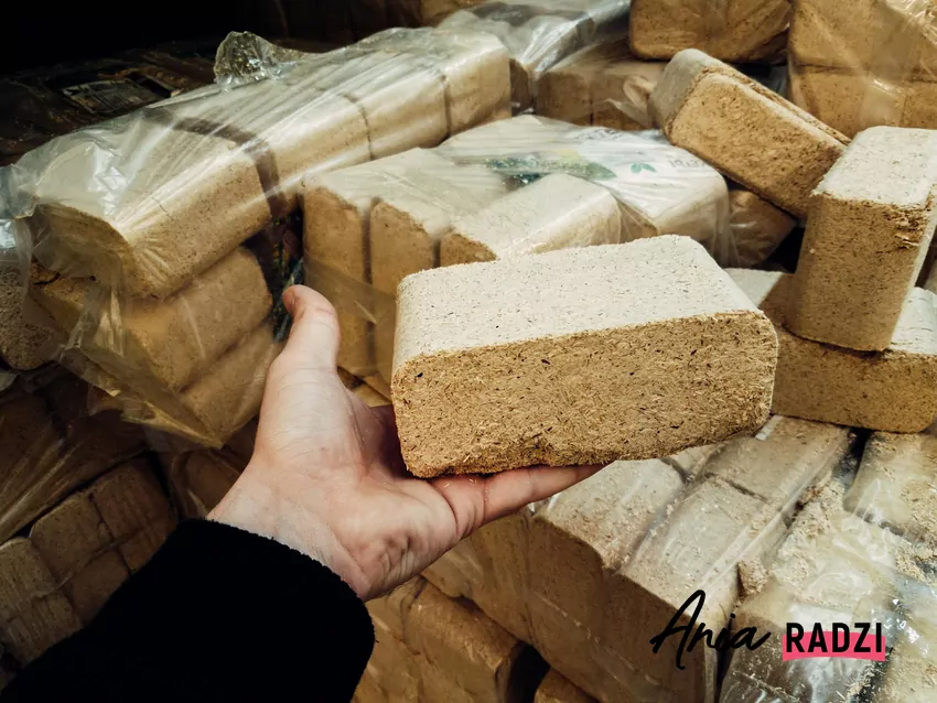 brykiet z trocin w dłoni