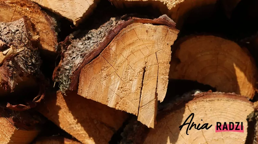 Drewno akacji pocięte i ułożone w szczapkach na stosie przygotowanym do palenia