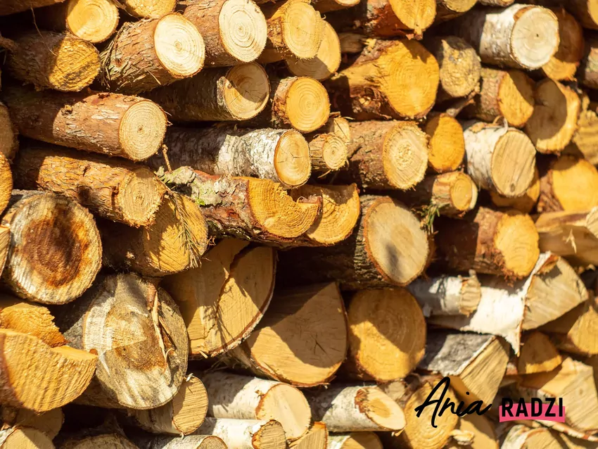 Ułożone drewno opałowe