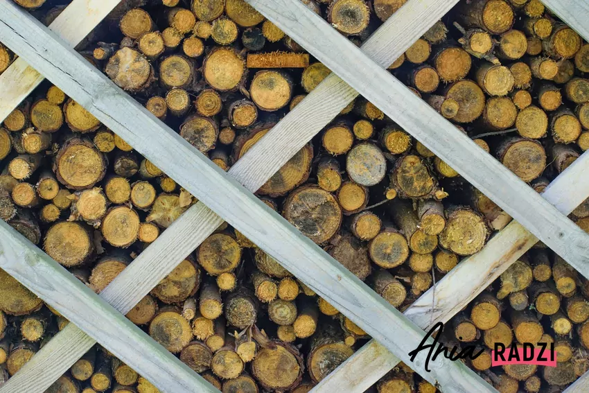 suszenie drewna do kominka
