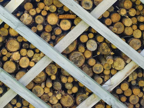 Jakie drewno daje najwięcej ciepła?