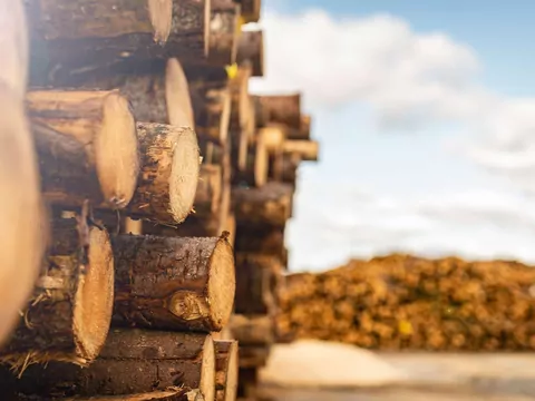 Najczęstsze błędy przy przechowywaniu pelletu i drewna
