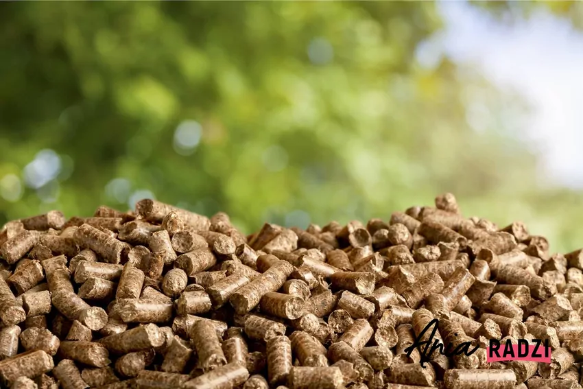 Pellet – ekologiczne paliwo, które spala się czysto i wydajnie pellet drzewny na tle zieleni