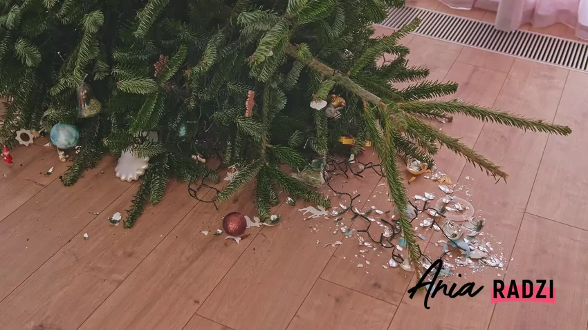 Przewrócona choinka