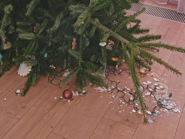 Gdzie wyrzucić zbite bombki