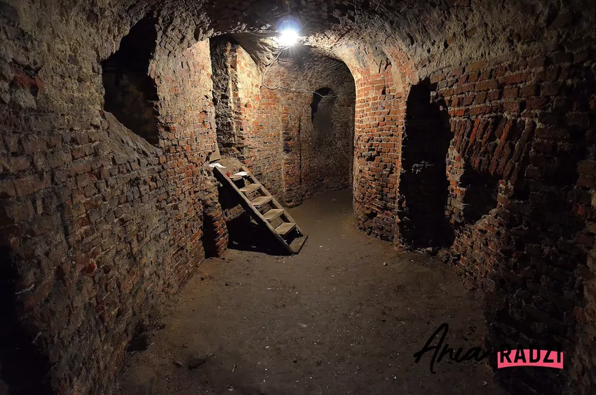 Elizeum w podziemiach warszawskiego Powiśla Elizeum