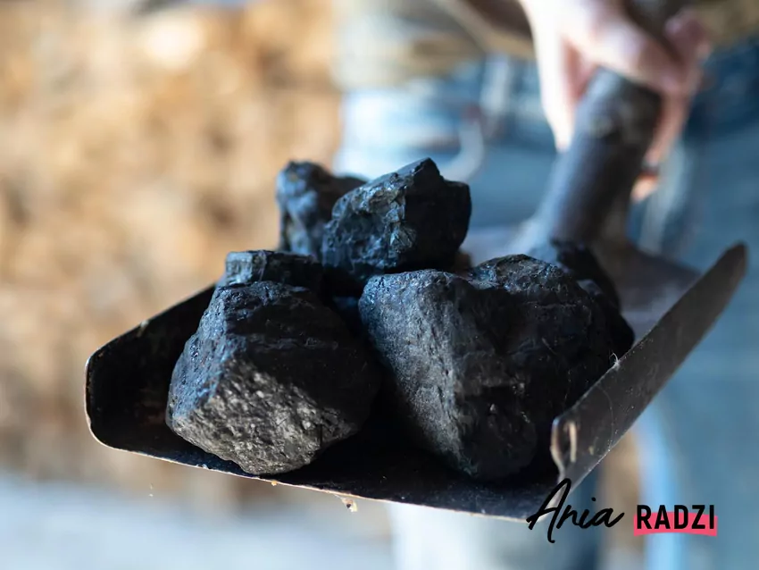 Magazyn opału z różnymi rodzajami węgla – przyszłość sprzedaży stoi pod znakiem zmian. Łopata z węglem