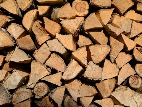 Które drewno kominkowe schnie najszybciej?