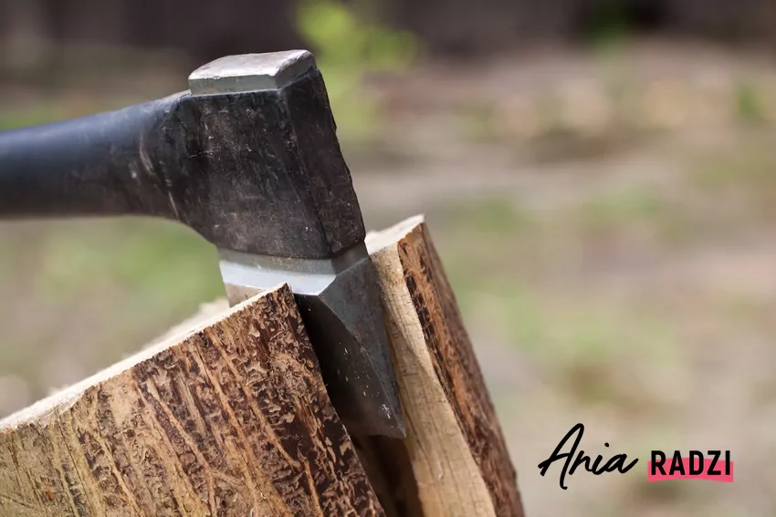 siekiera wbita w pieniek