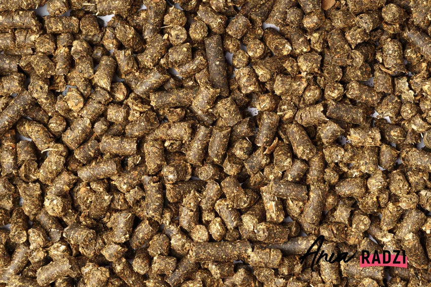 Pellet z łusek słonecznika
