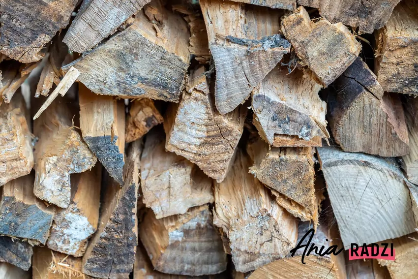 Na wysoką wartość opałową drewna iglastego wpływa zawartość żywicy