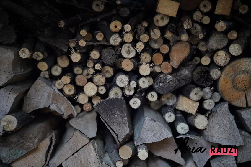 Różne rodzaje drewna wykazują różne właściwości