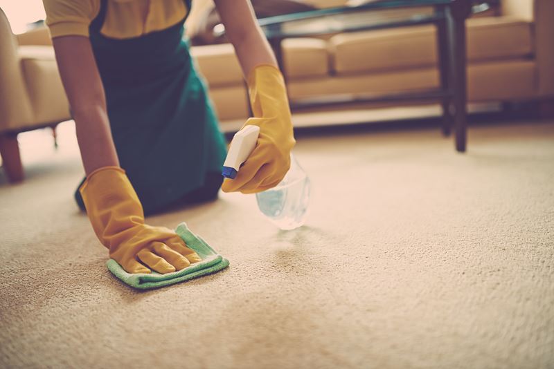 Jak wyczyścić dywan domowymi sposobami? Można go zaprać stosując różnego rodzaju środki chemiczne i odświeżające, które sprawią, że będzie dłużej świetnej jakości. Płyn do prania - rodzaje, opinie, ceny, producenci, porady 2