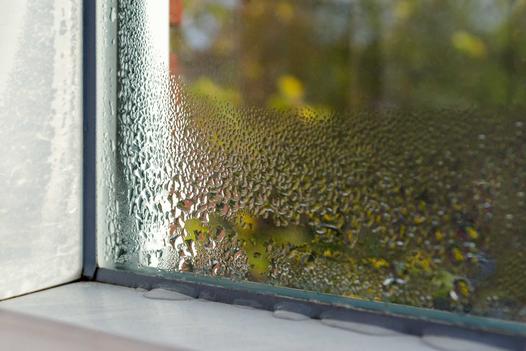 Wilgoć na oknach - przyczyny skraplania się wody na oknach i sprawdzone rozwiązania