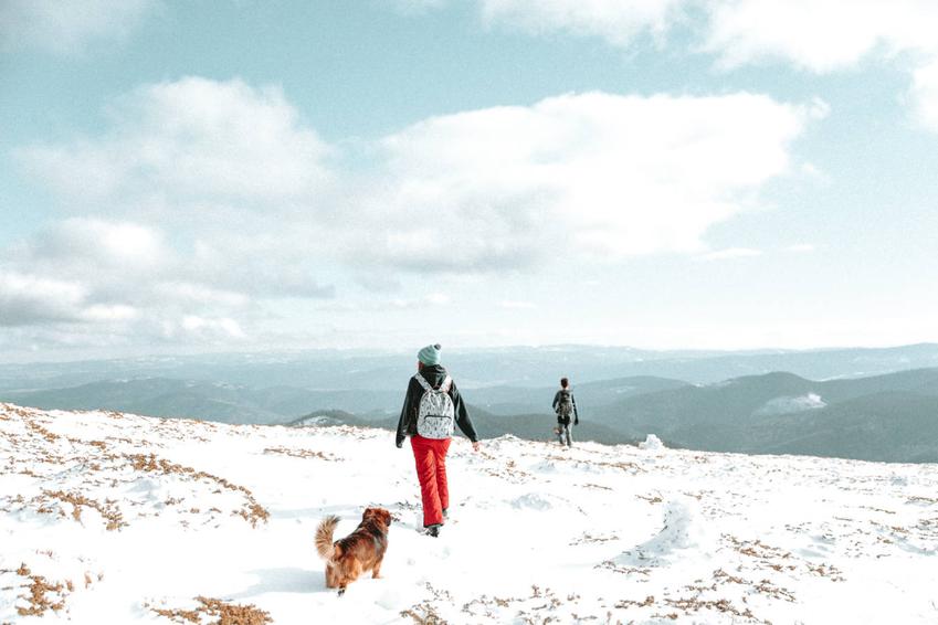 Jakie spodnie trekkingowe najlepiej sprawdzą się w góry zimą?
