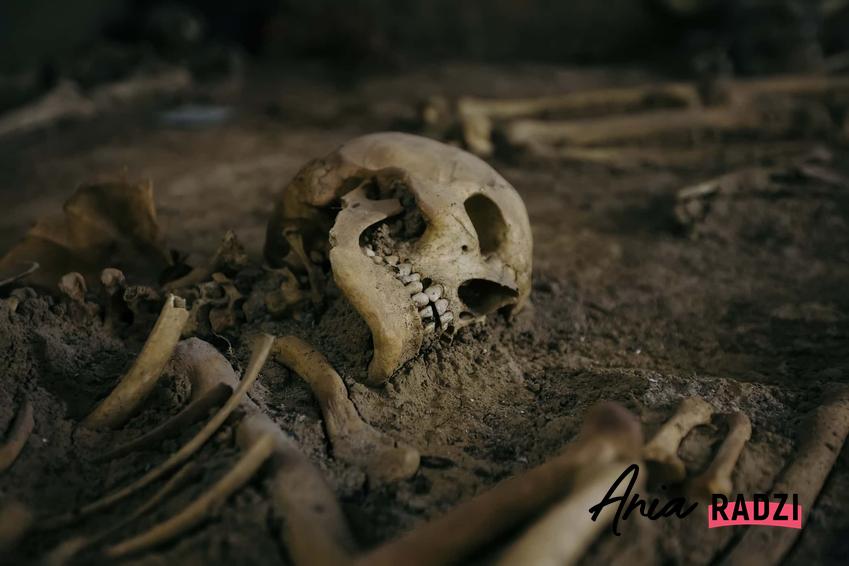 Szczątki zmarłego człowieka, czaszka i kości wykopane z ziemi, jak długo rozkładają się ubrania z określonego materiału