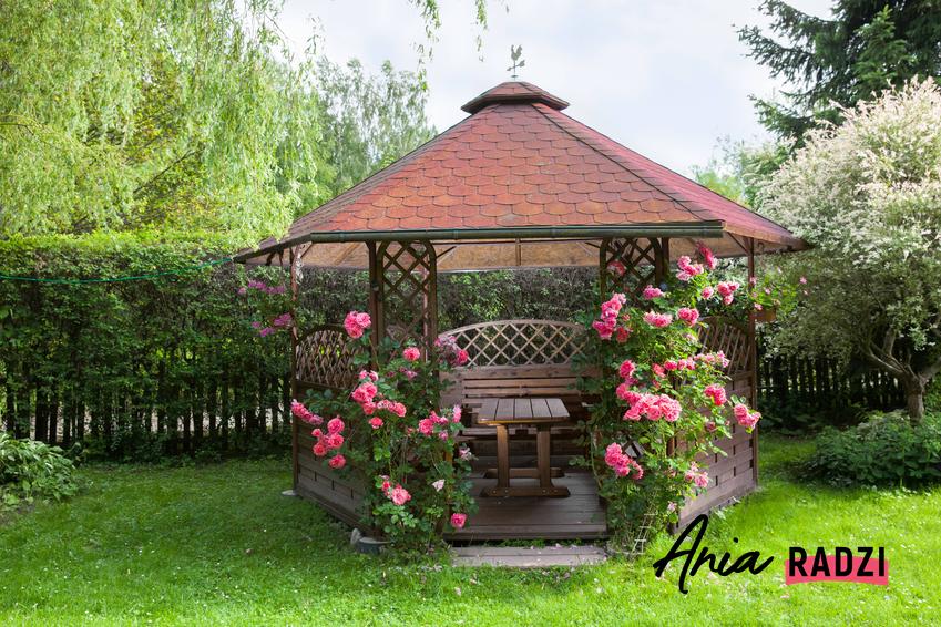 Altana ogrodowa przystrojona różami, a także budowa altany ogrodowej bez pozwolenia