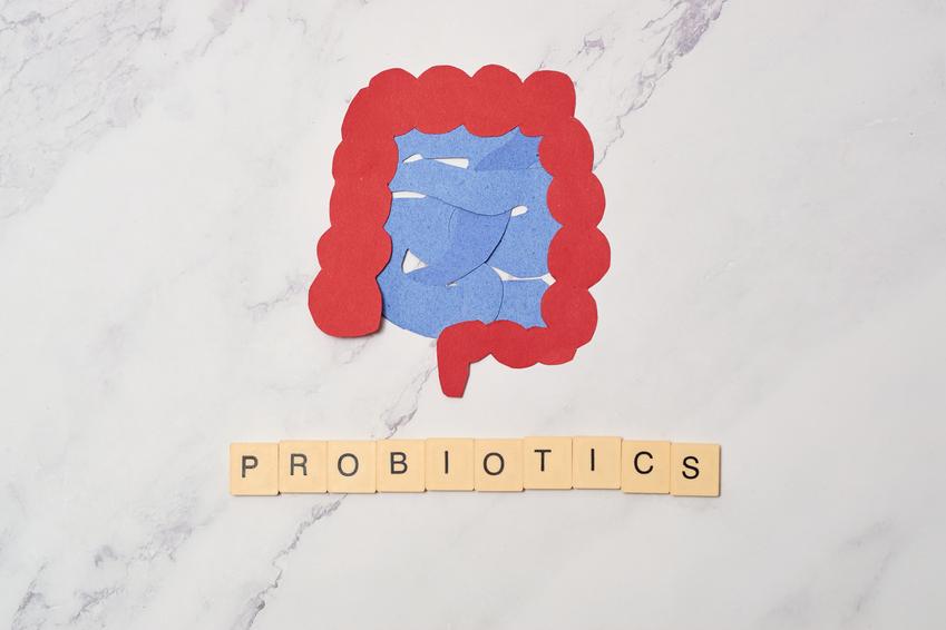 napis Probiotics