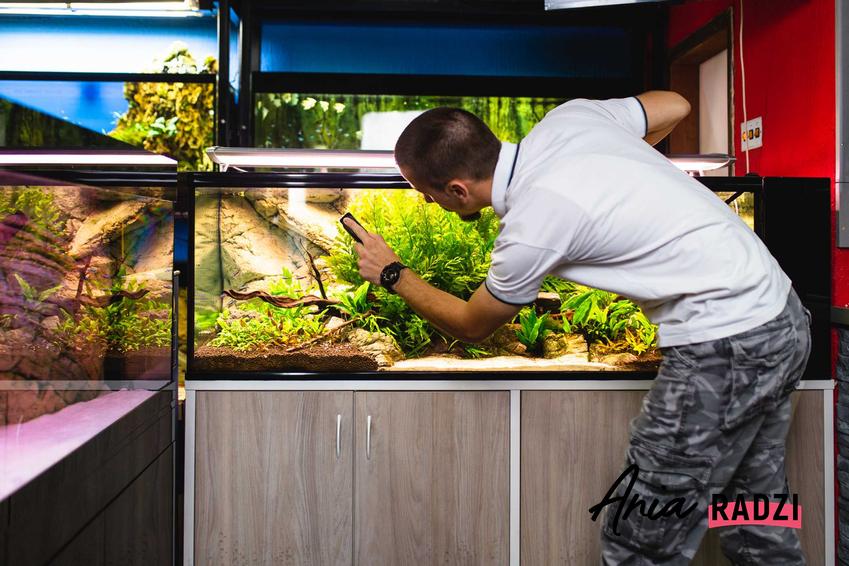 Mężczyzna podczas czyszczenia akwarium, a także podpowiedzi, jak czyścić akwarium, sposoby i informacje