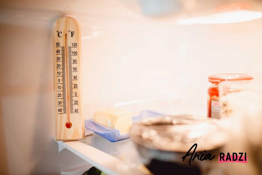 Temperatura w lodówce - porady, jaka powinna być temperatura na różnych półkach w lodówce do przechowywania różnych produktów