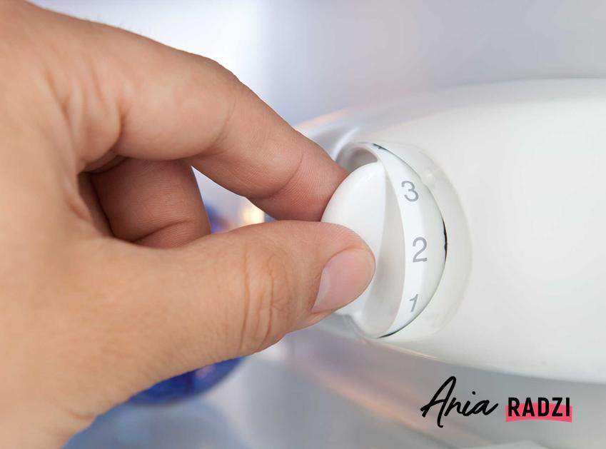 Termostat do lodówki podczas regulacji oraz jego zasada działania, a także wymiana termostatu w lodówce