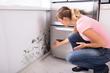 Pleśń na ścianie i suficie w mieszkaniu – przyczyny, najlepsze metody usuwania